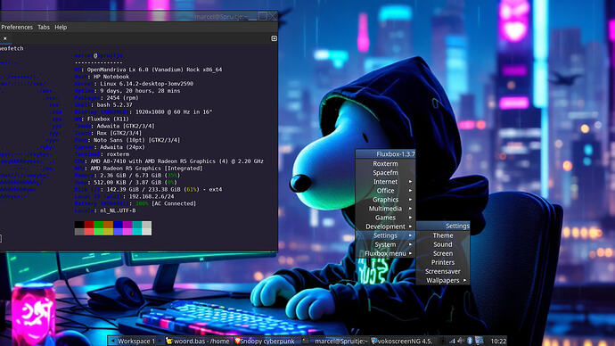 vokoscreenNG-2026-09-11_10-22-46.427