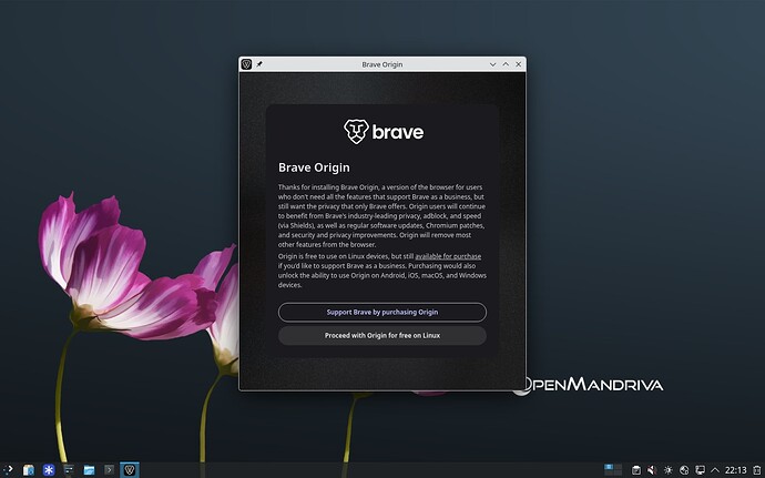 brave-origin-inst-11