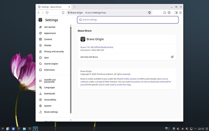 brave-origin-inst-14