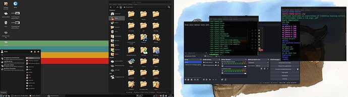 Double screen display and various windows