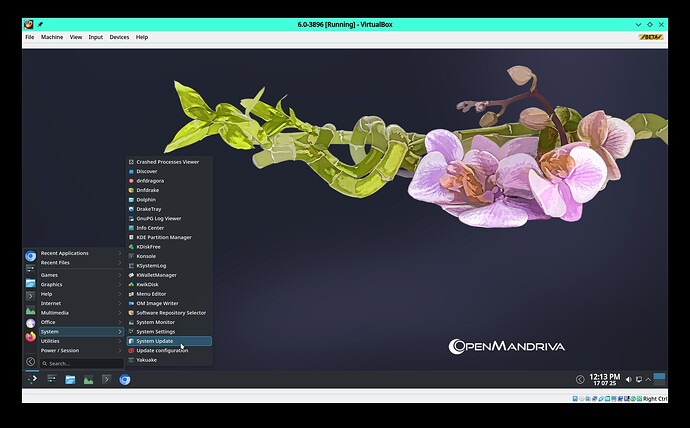 Screenshot_20250717_121324