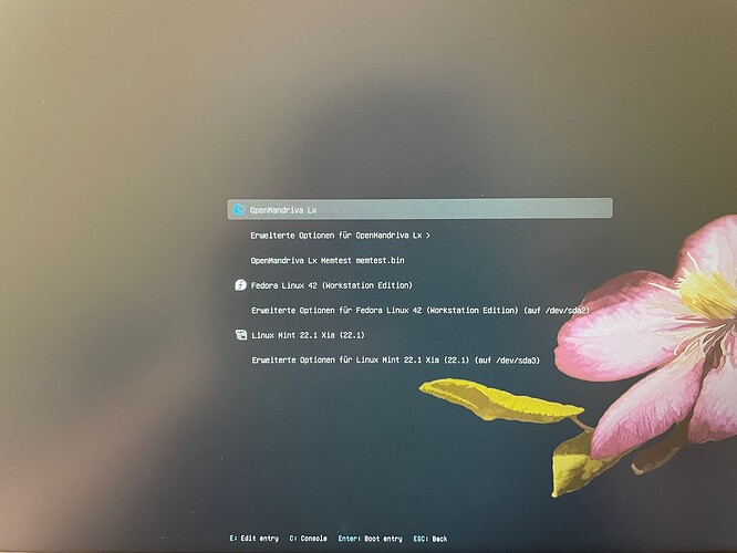 grub_bootloader_fixed