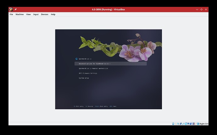 Screenshot_20250528_095954
