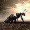 pro_test_ant